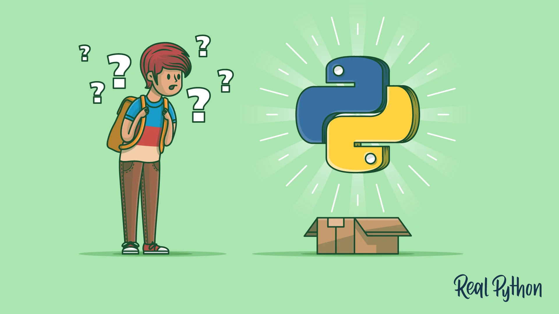 Python Basics: A Complete Guide for Beginners and Developers